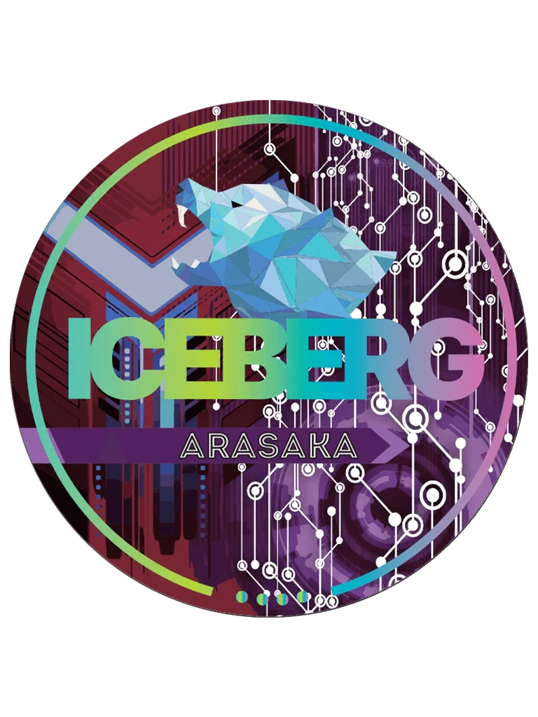 Iceberg - Arasaka