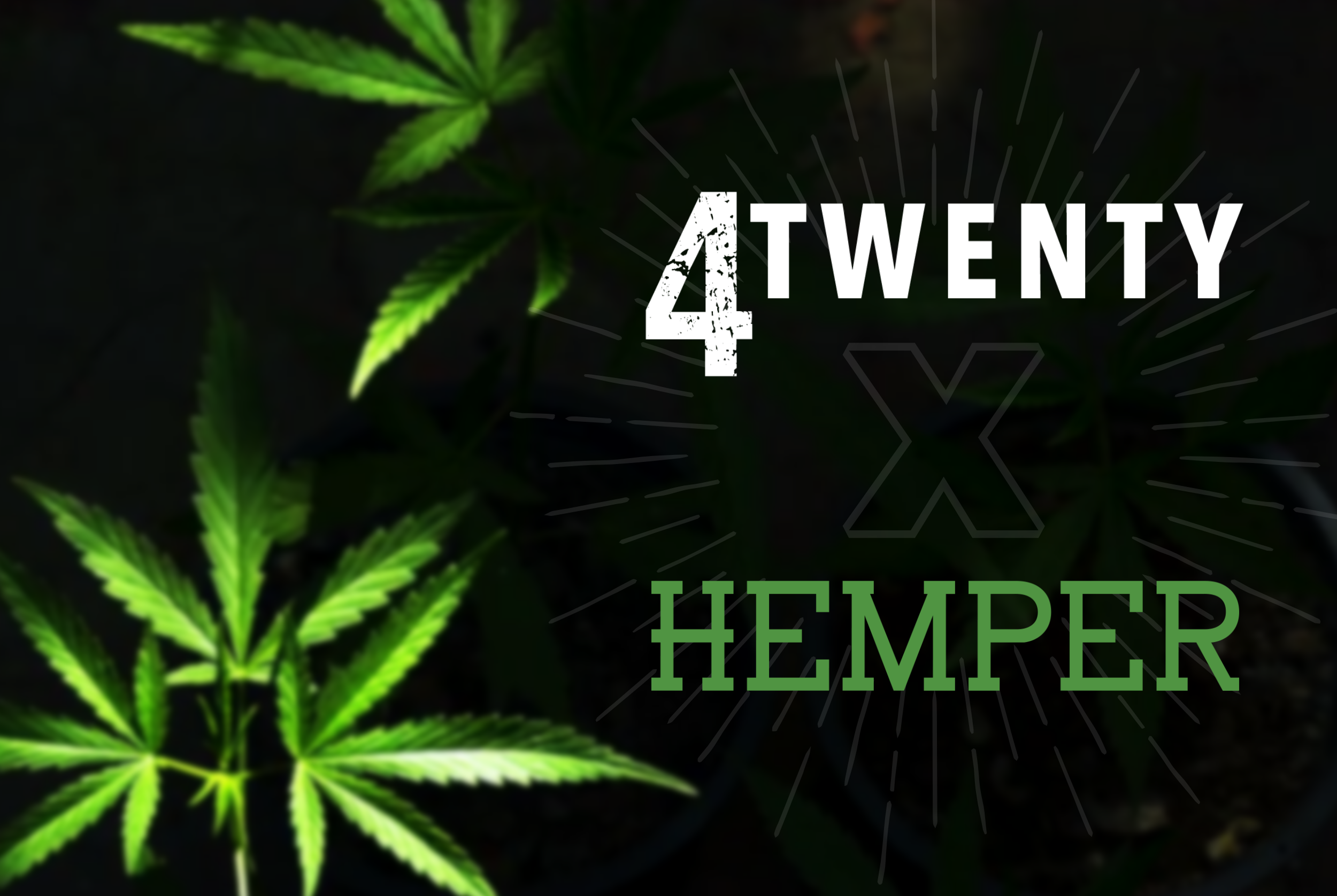 hemper-4twenty-3