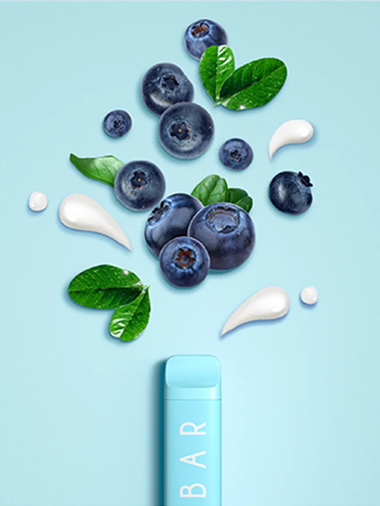 Elf Bar NC600 - Blueberry Yogurt